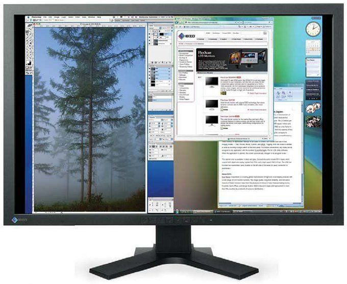 Eizo FlexScan SX3031W 30 Widescreen-LCD-Monitor